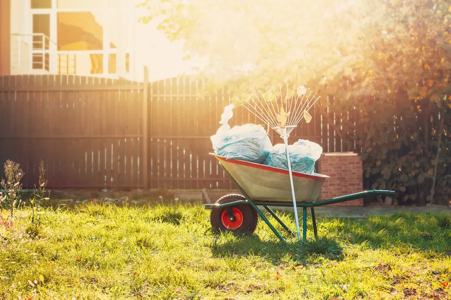 Common Yard Cleaning Mistakes To Avoid For A Neater Garden in Maces Bay, NB Common Yard Cleaning Mistakes To Avoid For A Neater Garden in Maces Bay, NB