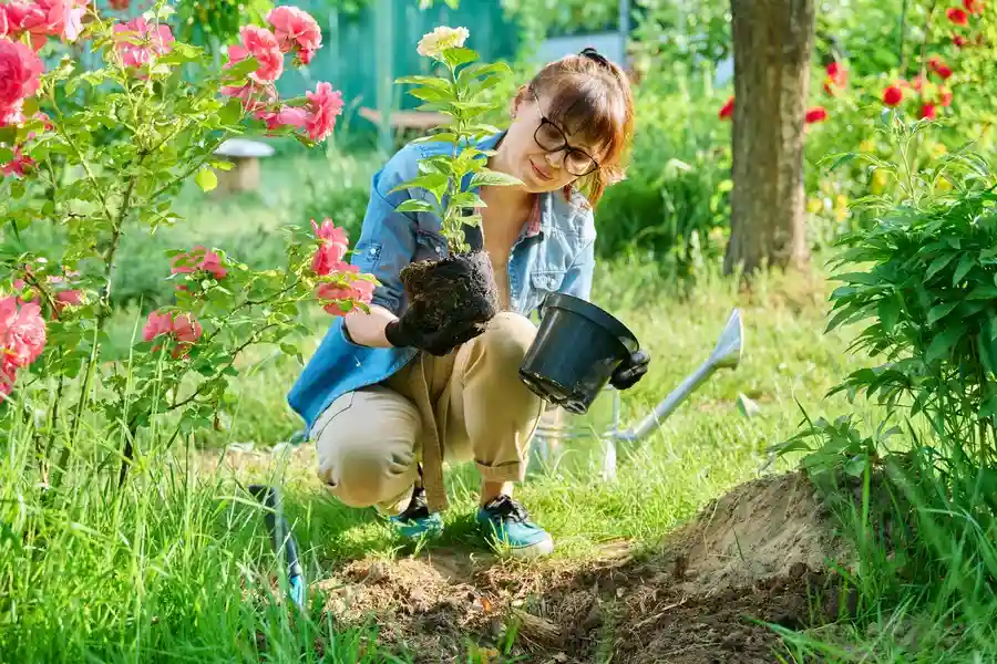 How Gardening Services Can Improve Your Homes Curb Appeal Maces Bay, NB How Gardening Services Can Improve Your Homes Curb Appeal Maces Bay, NB