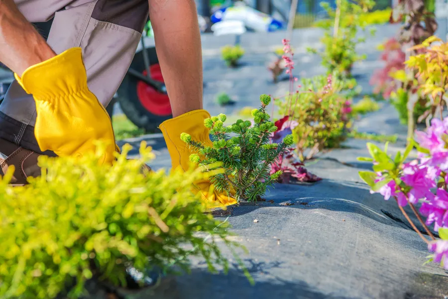 How Gardening Services Can Improve Your Homes Curb Appeal in Maces Bay, NB How Gardening Services Can Improve Your Homes Curb Appeal in Maces Bay, NB