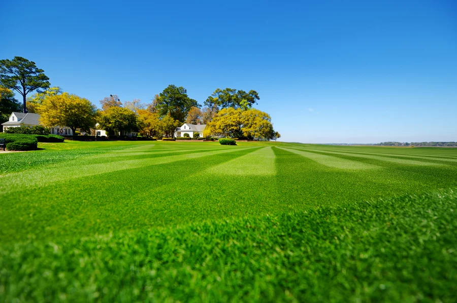 Key Services Offered By Professional Lawn Care Providers in Maces Bay, NB Key Services Offered By Professional Lawn Care Providers in Maces Bay, NB