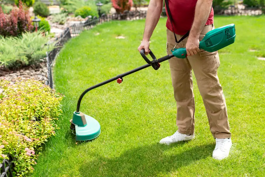 Local Lawn Care Service Maces Bay, NB Local Lawn Care Service Maces Bay, NB