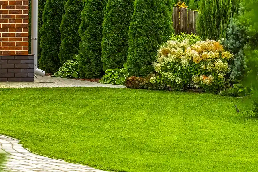 Reliable Lawn Care Service Maces Bay, NB Reliable Lawn Care Service Maces Bay, NB