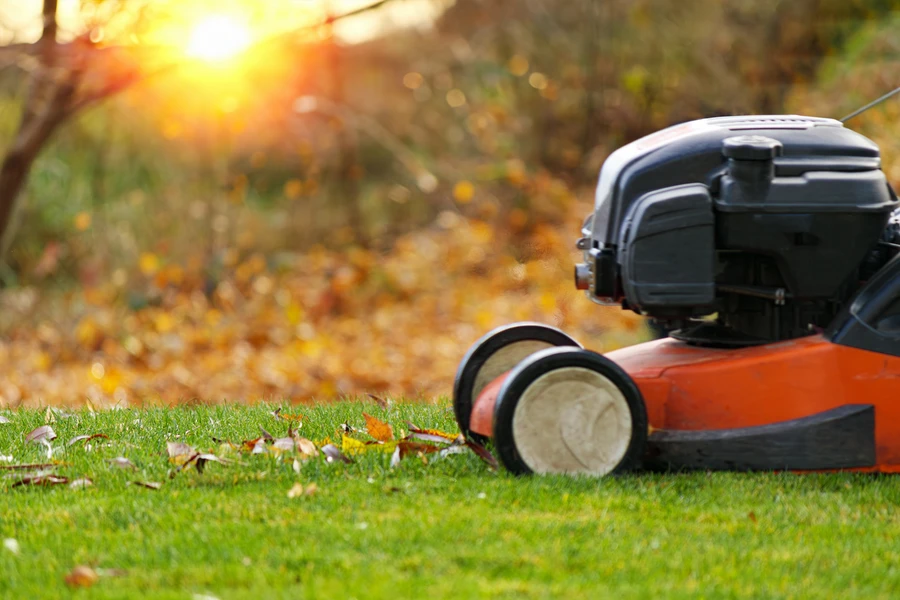 The Importance Of Aeration And Fertilization In Lawn Care in Maces Bay, NB The Importance Of Aeration And Fertilization In Lawn Care in Maces Bay, NB